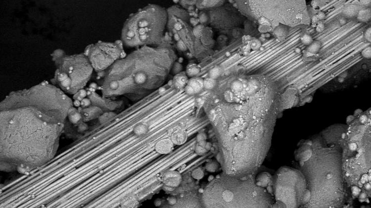 Microbially induced fiber bonding